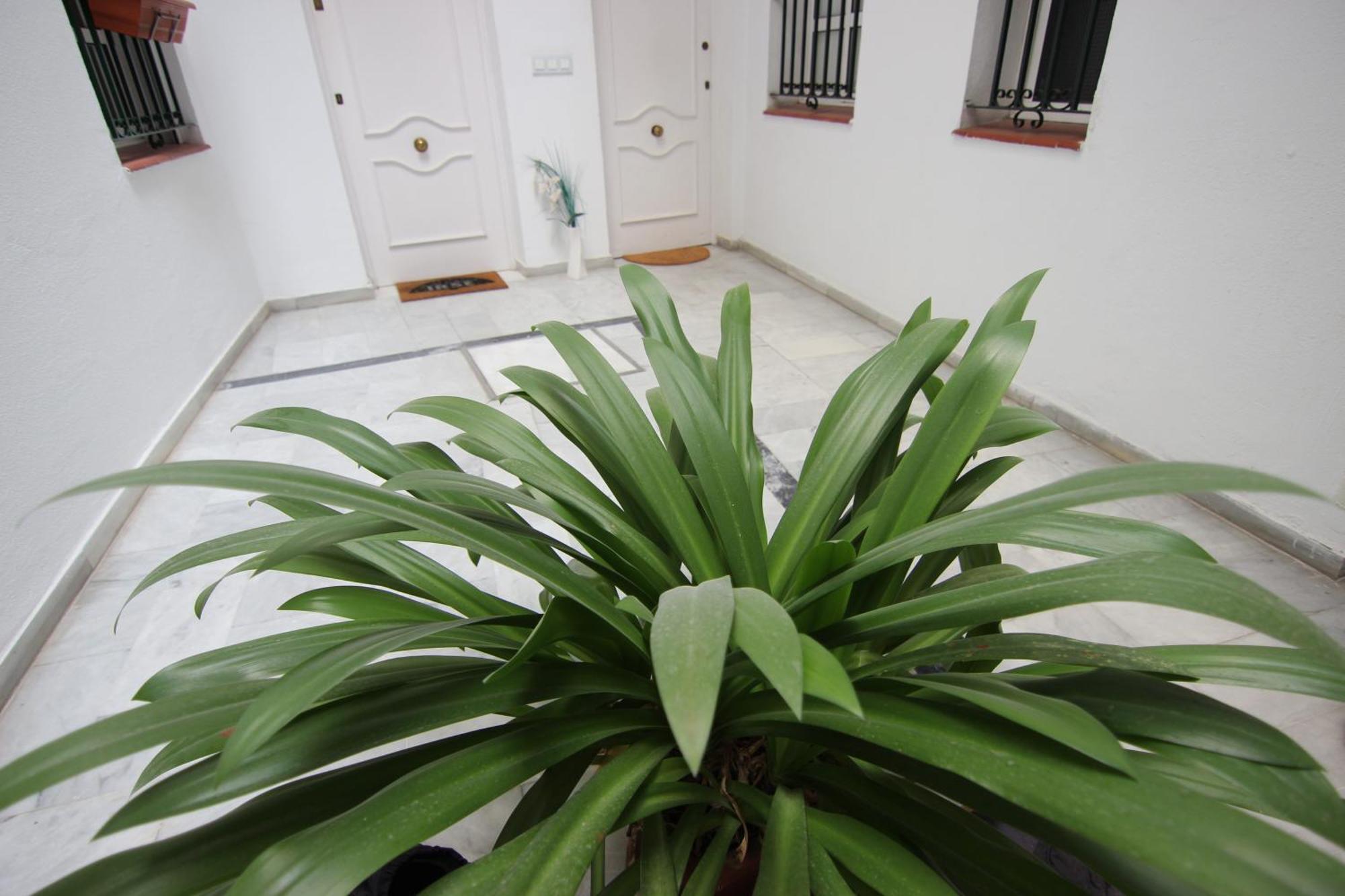Apartamento Corazon De Triana เซบีญา ภายนอก รูปภาพ